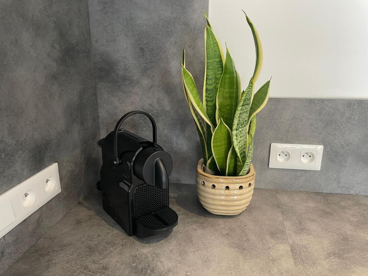 Duppigheim Les Duplex Solaires 아파트 외부 사진